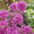 원당약수터 이미지