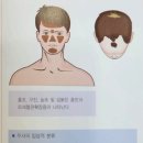 정우의학서적 이미지