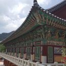 삼성레포츠식당