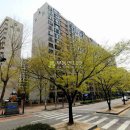 국제금융로7길 이미지