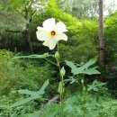 식물원 정자옆 이미지