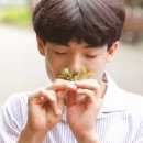 사람세상 네이버블로그