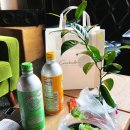 무성햇빛발전소 | 합정 상수 대형 카페, 앤트러사이트 합정점