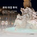 에이노드(A NORD) | [로마 여행] 로마 야경 투어 (여행톡톡 야경 투어 후기)