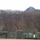 호암초등학교 이미지