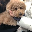 닥터페티앙동물병원 이미지