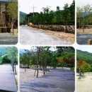 자연이랑캠프 이미지