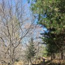 평화목장1 이미지