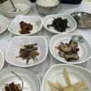 일출식당 - 남해군 | 동해 배틀바위 등산 전 무릉계곡 산채정식 “(구)일출식당” 내돈내산 후기
