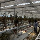 경남거제지역자활센터 이미지