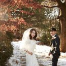 띵크베리 이미지