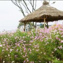 그대와 나 이미지