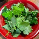용구초밥 | 곤지암리조트와 화담숲 근처 도척면 초밥 맛집 발견! 용구초밥 솔직후기~