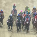 부산경남경마공원 화장실 이미지