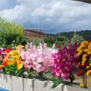 영락공원(1추모관) 이미지