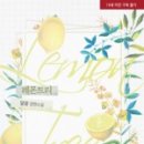 레몬트리 이미지