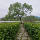 원지동석불입상및석탑 | 운길산 수종사와 조안면 물의정원 봄나들이 후기 (250505)