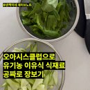 클럽 6개월 무료 혜택으로 유기농 이유식 식재료 공짜 쇼핑한 후기 (+케이뱅크 멤버 추가 혜택까지)
