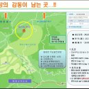 무이리