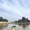 곰섬하우스