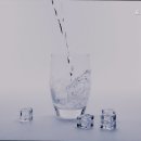 로즈빌고시원