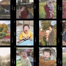 황산카센타 | 10월 마지막 주 일상, 포토 덤프 챌린지