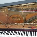 우신상회 이미지