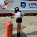 부산에서 울릉도 배편 예매, 포항가는 방법, 울릉도내 교통편 총정리