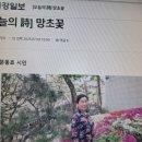 울, 가울시인 시 신문 게재 이미지