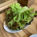 강경생고기 이미지