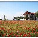 하늘과 바다사이 이미지