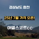 늘푸른투어
