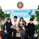 반려마루 화성 이미지