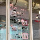 코니베니 이미지