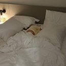 이든사우나 이미지