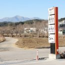 오시기식당 이미지