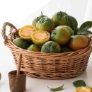 토마토인터넷 이미지