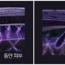 헤라PC 이미지