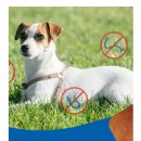 햇살가득약국 이미지