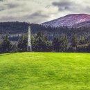 안성농협 본점(안성농업협동조합) 이미지