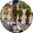 우리메디칼(주) 이미지