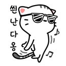 달루나캣츠 고양이전문 평택점 이미지