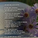 돈이 많은 사람이 인연으로 왔다면 ~ 이미지