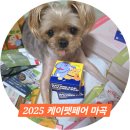 2025 케이펫페어 마곡 후기 + 올해 남은 펫페어 일정