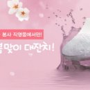 콜러노비타비데