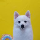 상일축산 이미지