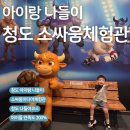 소우주덮밥 | 청도 아이랑 추천코스, 소싸움미디어체험관! 점심은 티욤핑크에서!