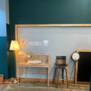 월드애견 이미지