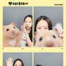 31140-8-22-7 | [7/9일-22일] 정서불안 김햄찌 ‘오늘도 출근햄니다’ 팝업스토어 후기