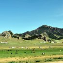 원리1호 이미지